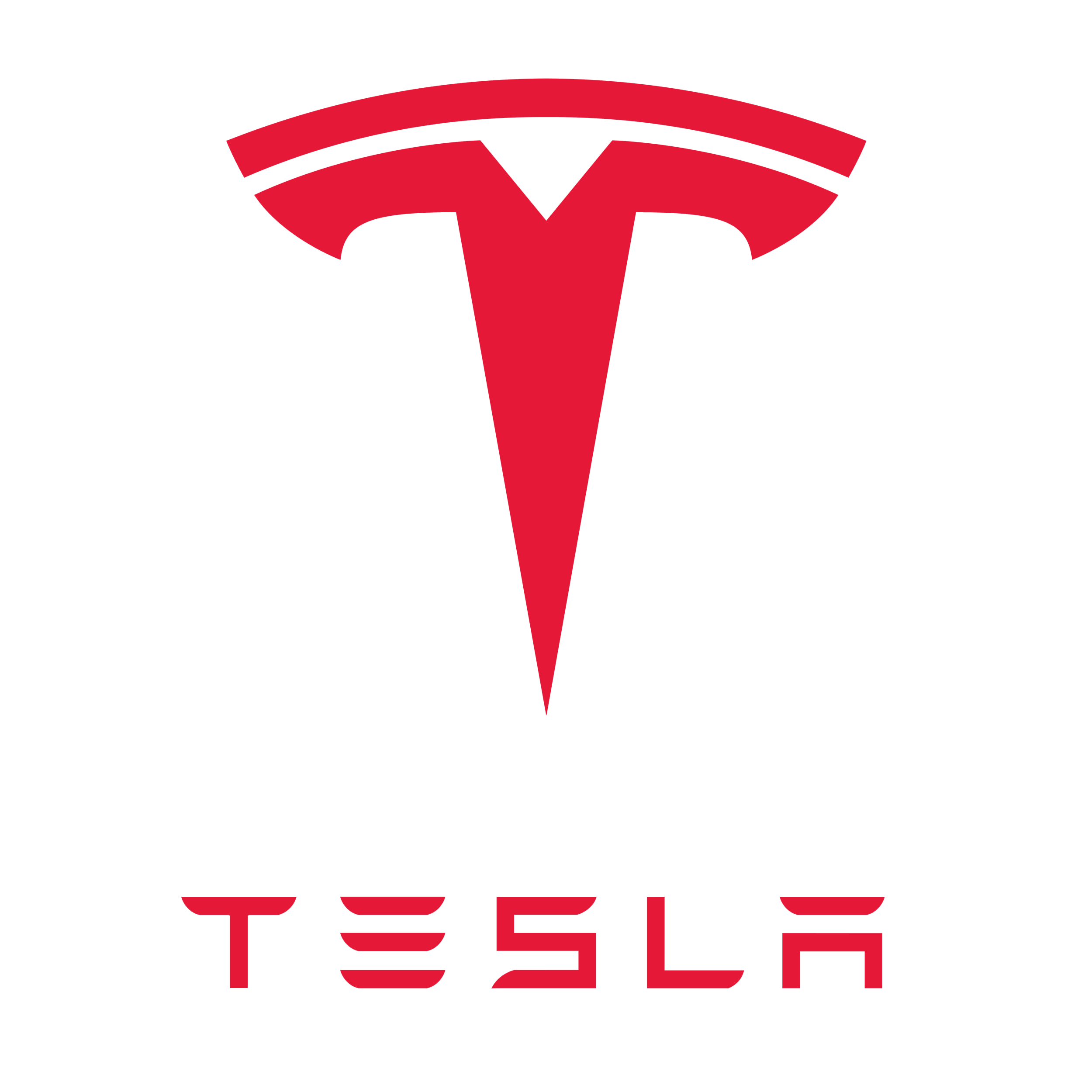 Tesla Analyse